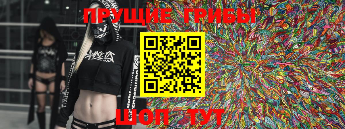 Галлюциногенные грибы Psilocybe  Вход с VPN  Кулебаки 