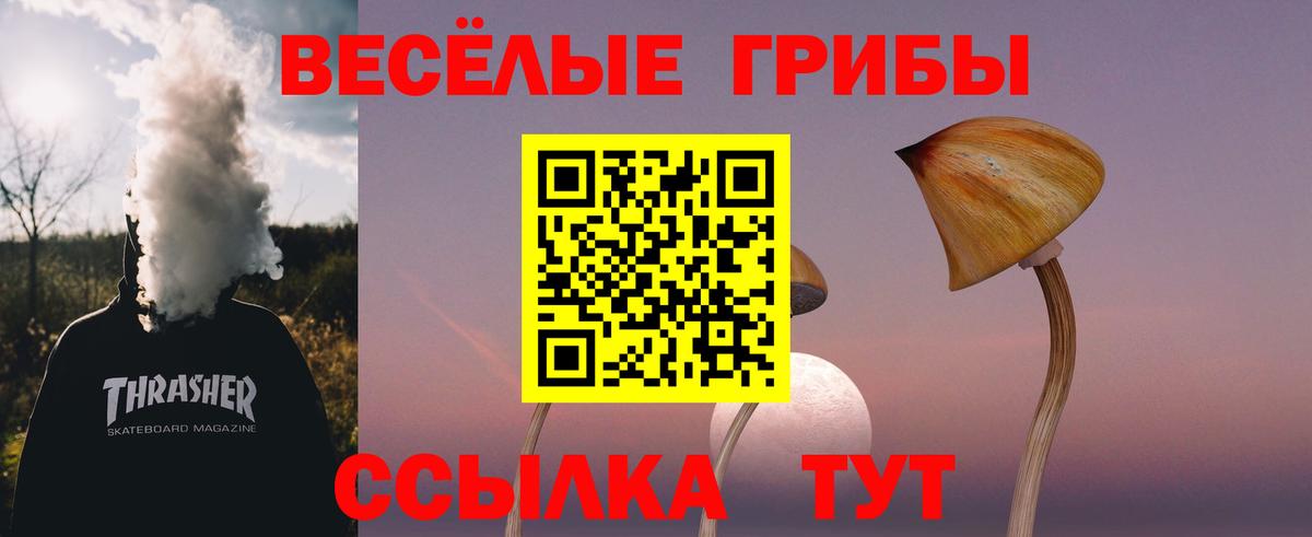 Псилоцибиновые грибы мухоморы Кулебаки